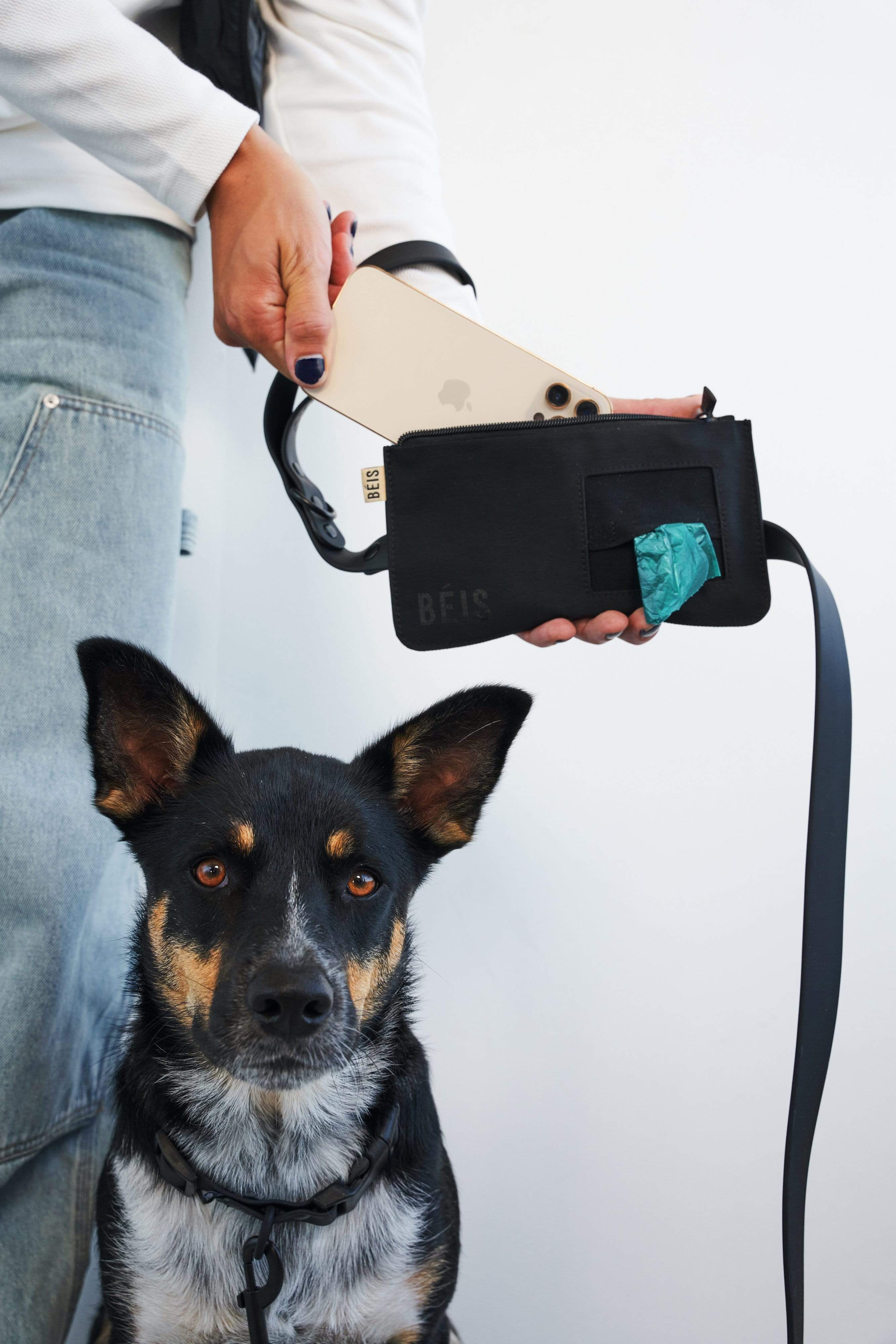 The Pet Leash in M/L - Image 4