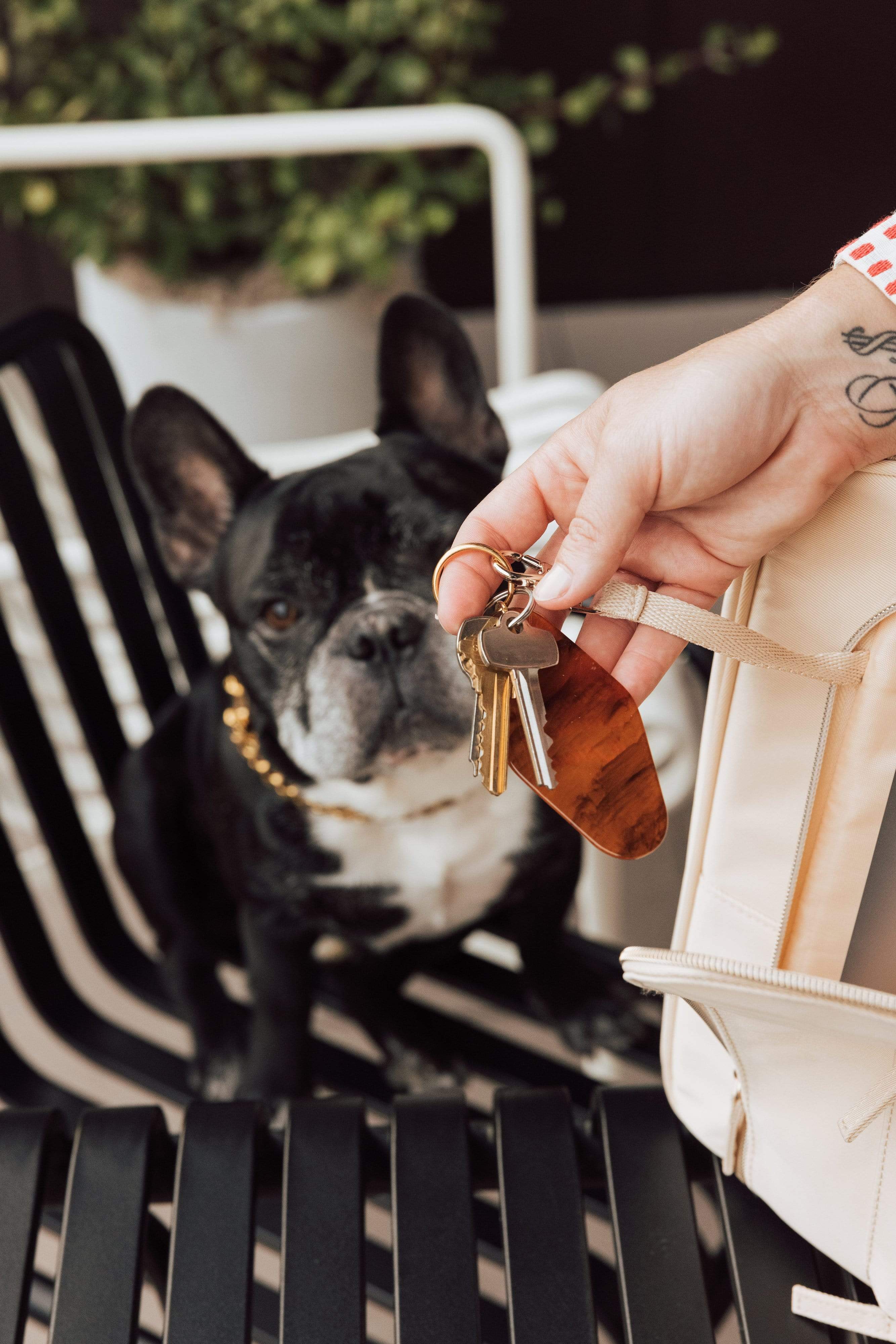 The Regulation Pet Carry-on in Beige - Image 11