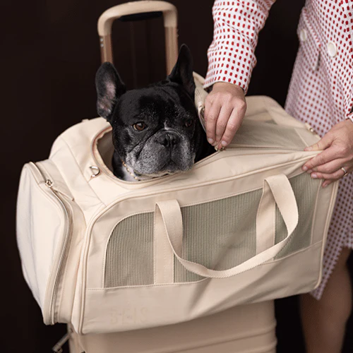 The Regulation Pet Carry-on in Beige - Image 12
