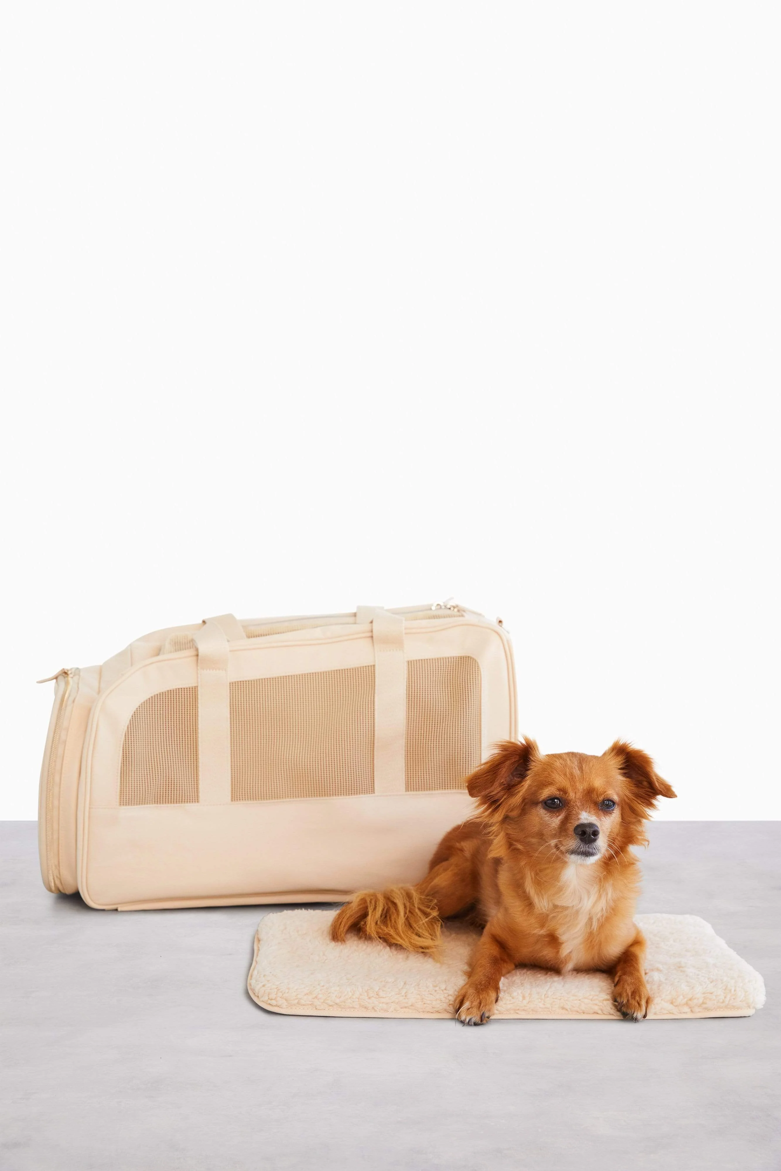 The Regulation Pet Carry-on in Beige - Image 3