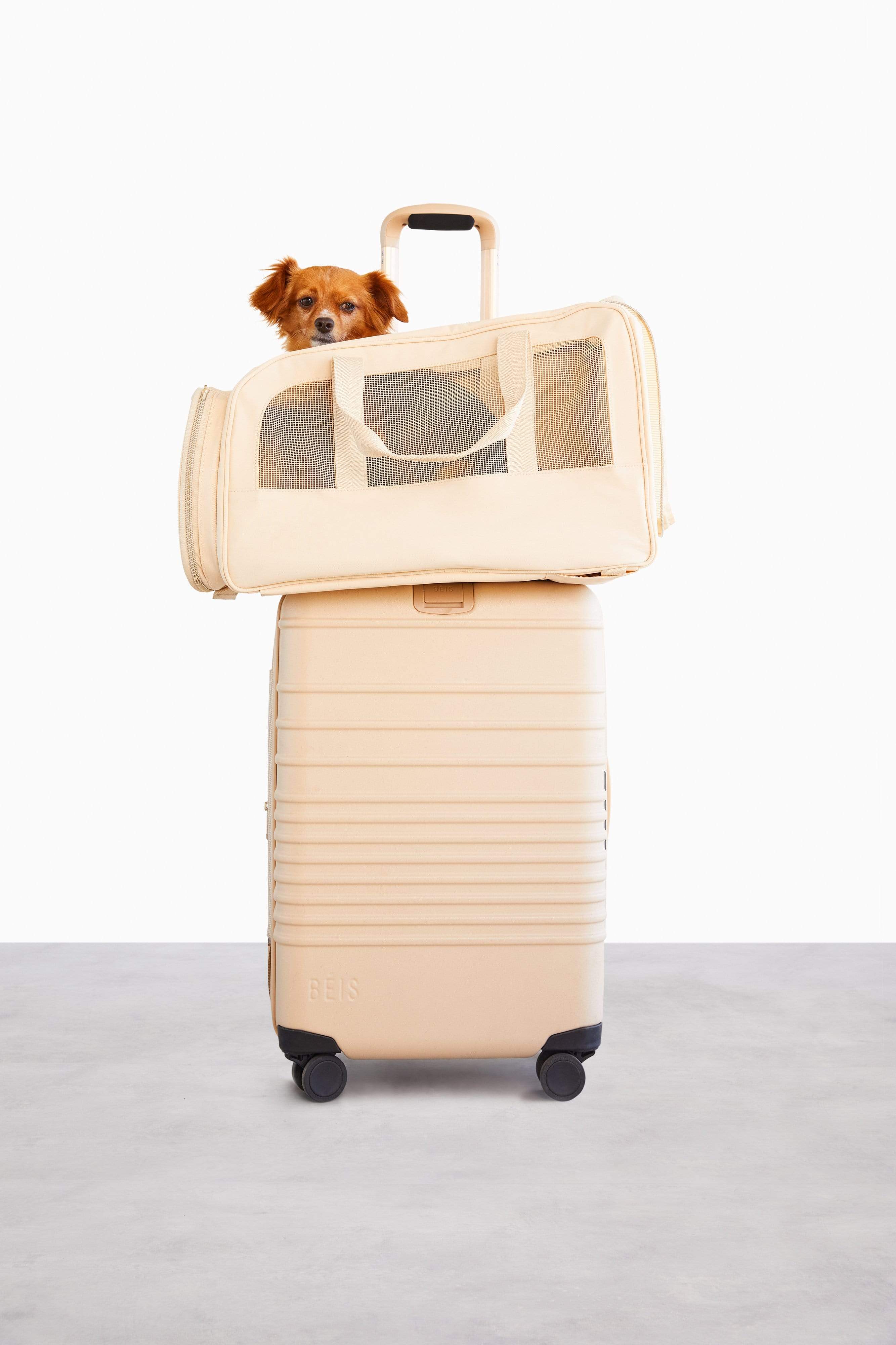 The Regulation Pet Carry-on in Beige - Image 7