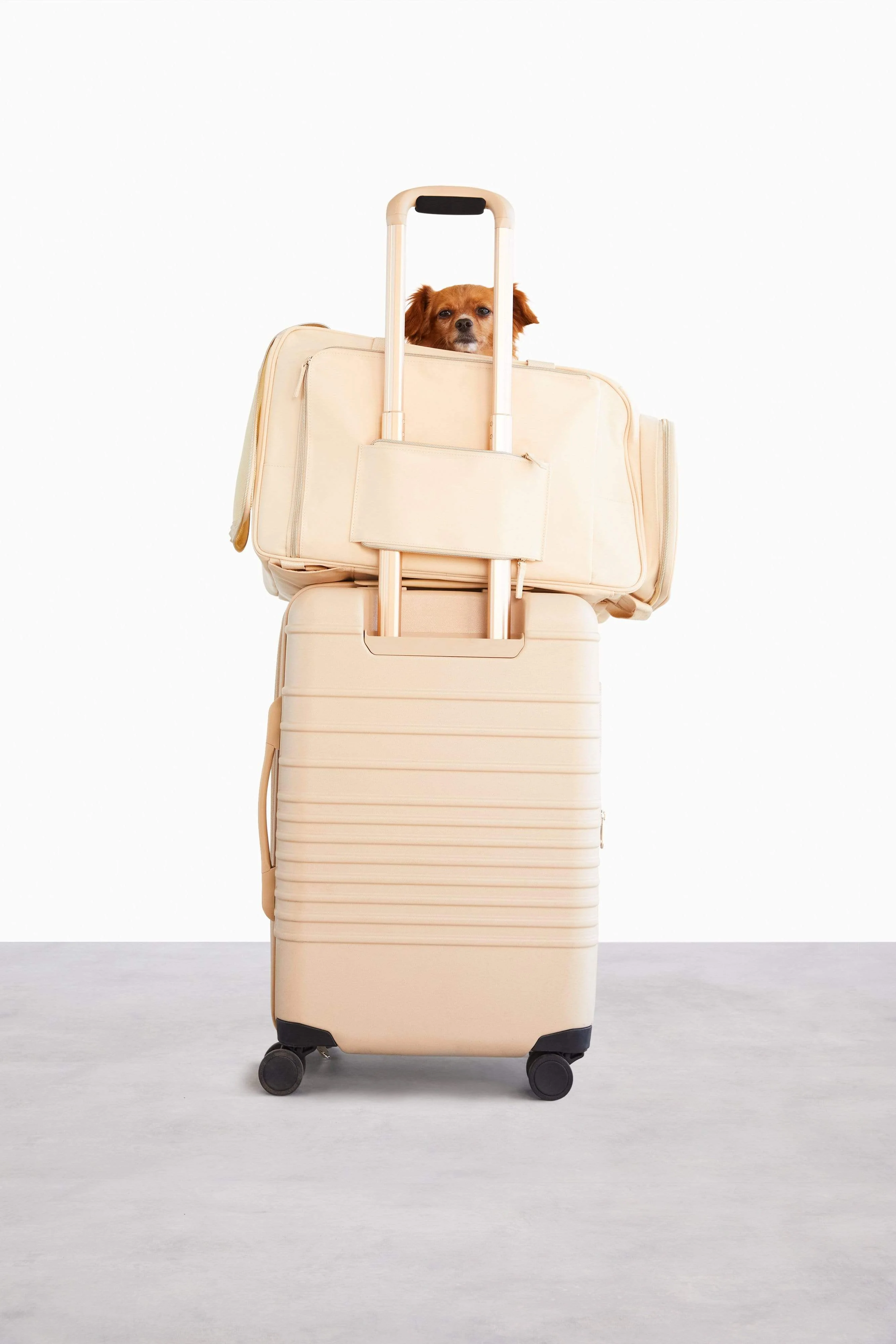 The Regulation Pet Carry-on in Beige - Image 8
