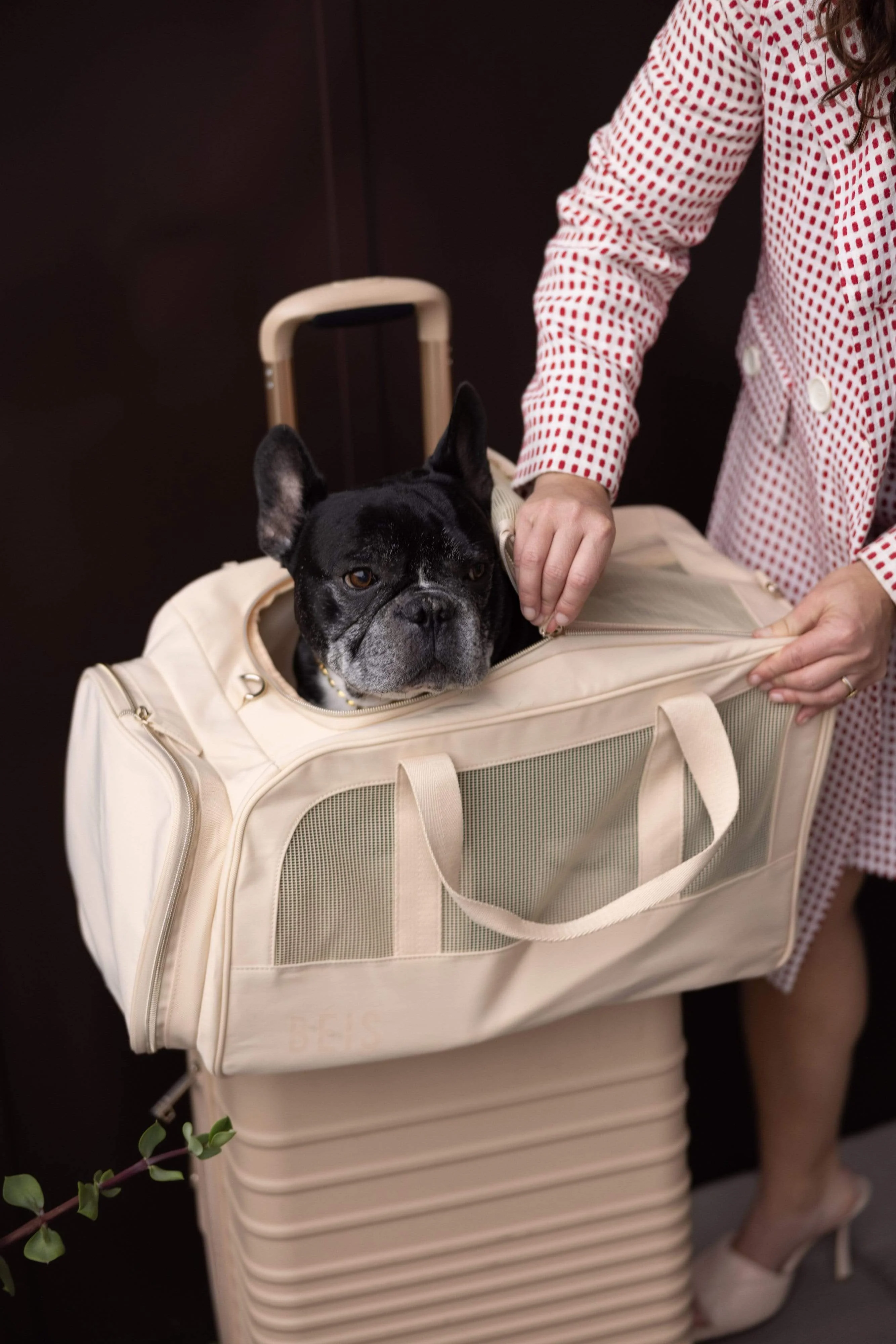The Regulation Pet Carry-on in Beige - Image 9